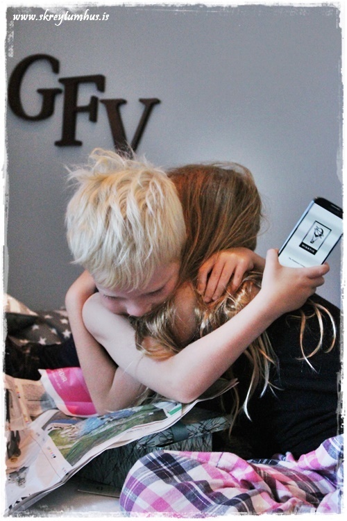 013-www.skreytumhus.is-012