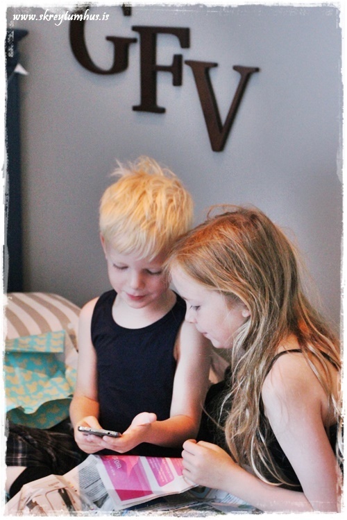 015-www.skreytumhus.is-014