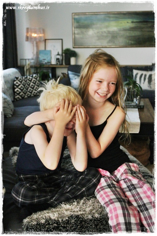 017-www.skreytumhus.is-016