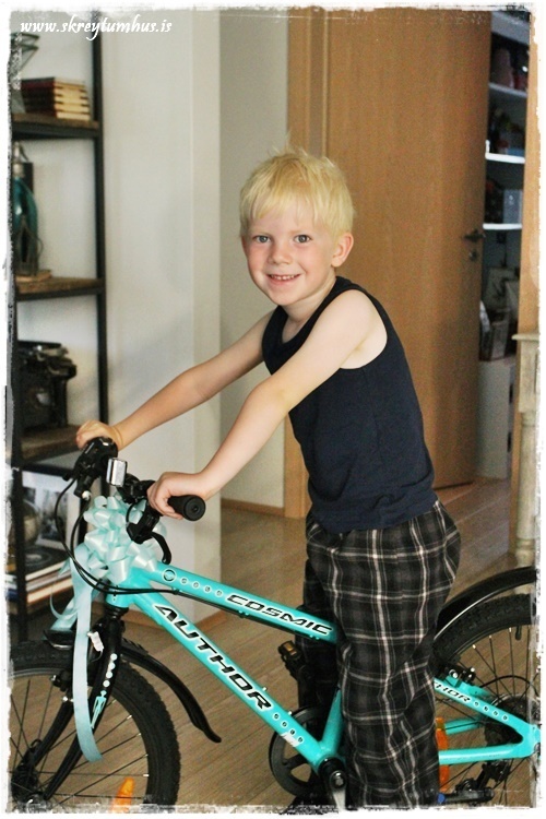 023-www.skreytumhus.is-021