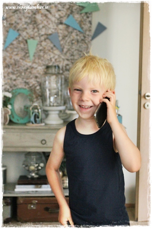 027-www.skreytumhus.is-025