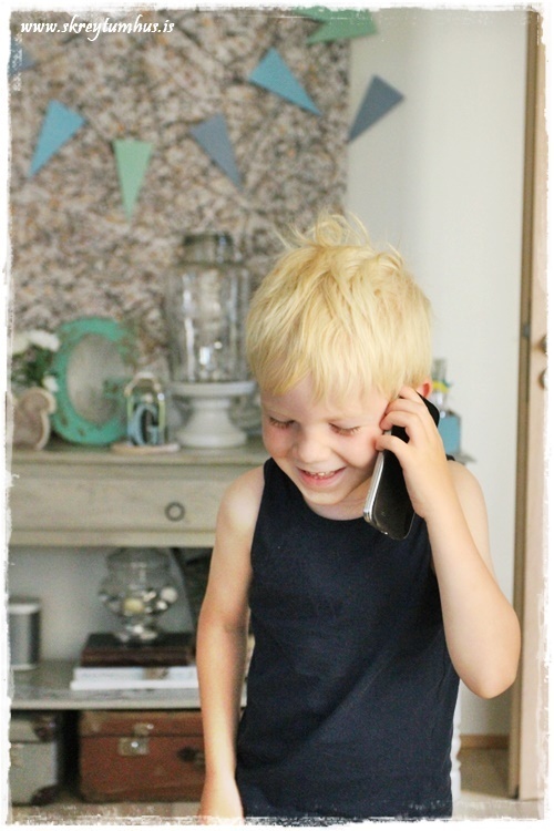 028-www.skreytumhus.is-026