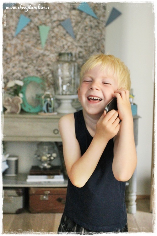 030-www.skreytumhus.is-028