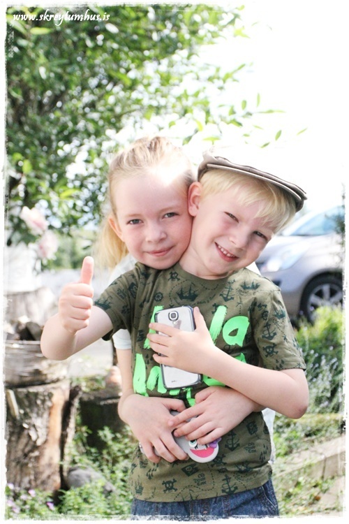 033-www.skreytumhus.is-031