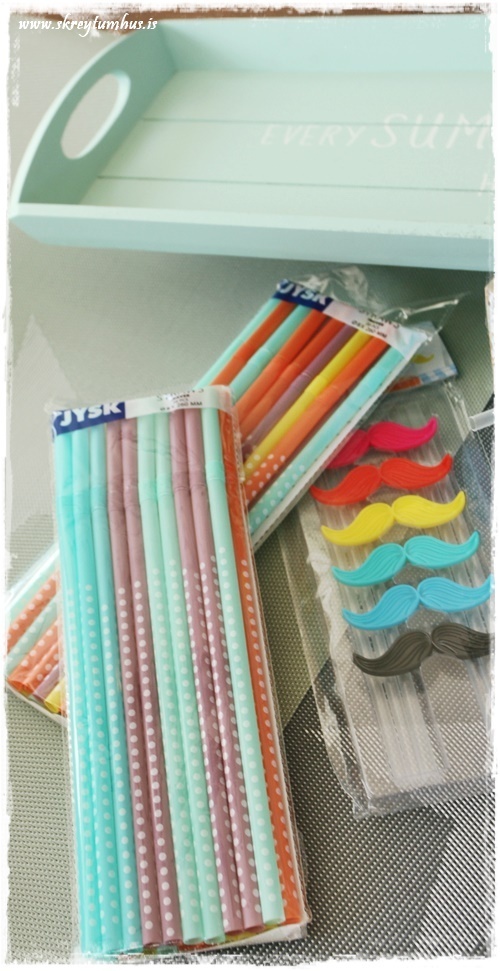 035-www.skreytumhus.is-001