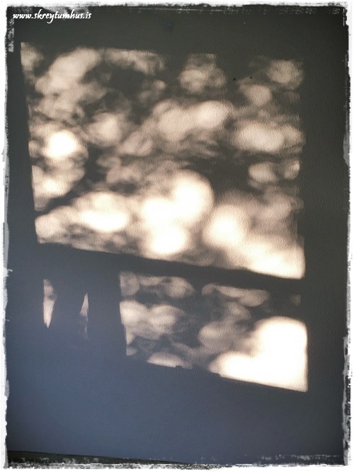 063-www.skreytumhus.is-055