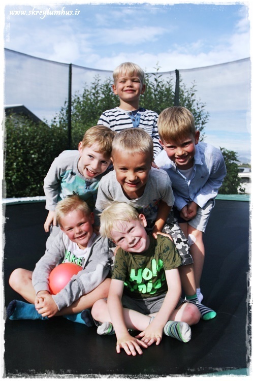 069-www.skreytumhus.is-052