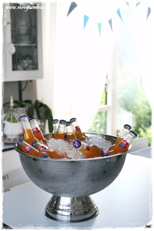 073-www.skreytumhus.is-056