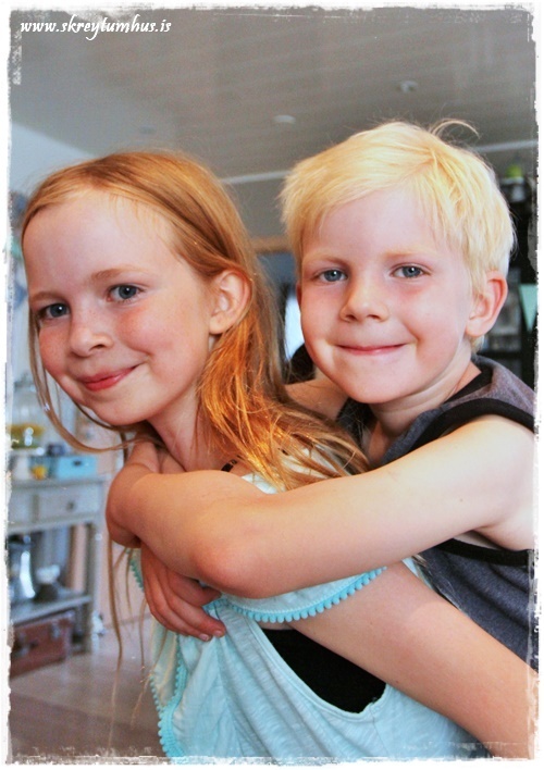 090-www.skreytumhus.is-073