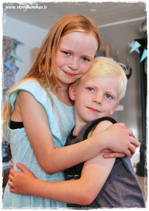 091-www.skreytumhus.is-074