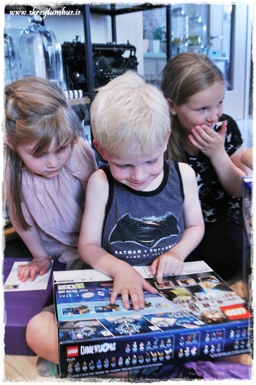 104-www.skreytumhus.is-087