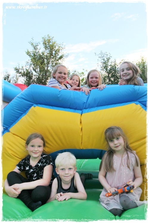 110-www.skreytumhus.is-093