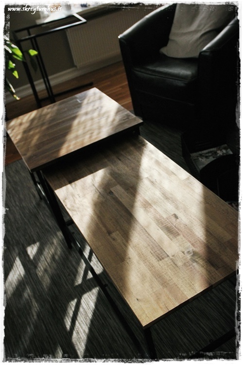 23-www.skreytumhus.is.is-010