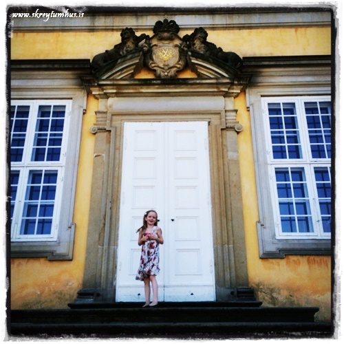 7-www.skreytumhus.is-001