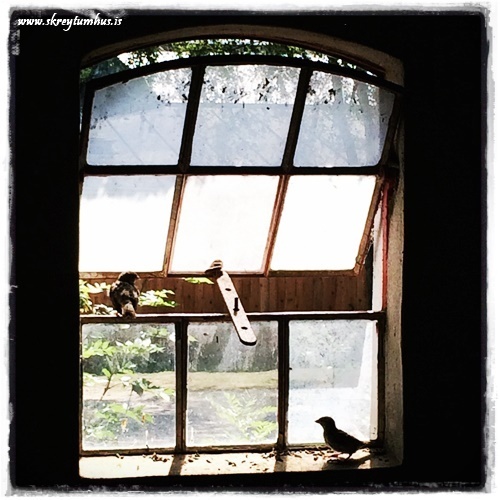 8-www.skreytumhus.is-002