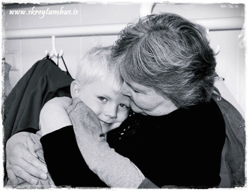 90-www.skreytumhus.is-023