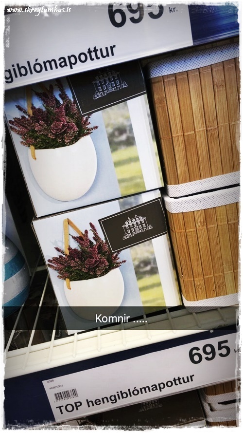 15-www-skreytumhus-is-014