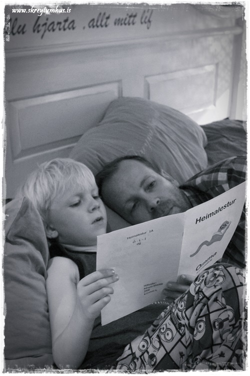 27-www.skreytumhus.is-060