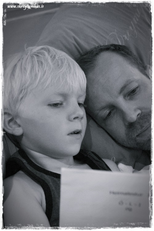 28-www.skreytumhus.is-061