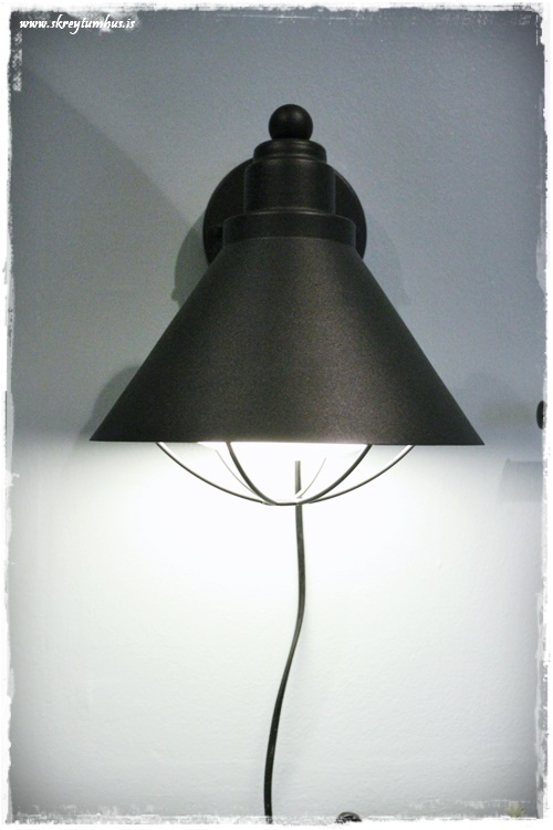 38-www.skreytumhus.is-037