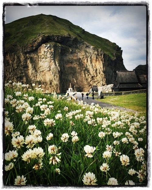 04-www-skreytumhus-is-003