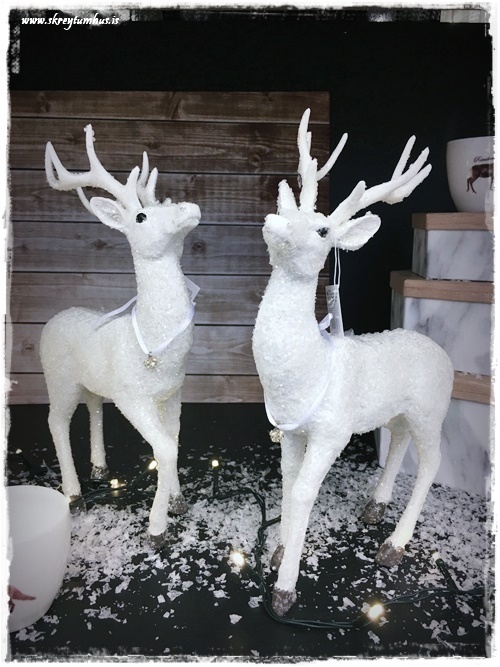 05-www-skreytumhus-is-13