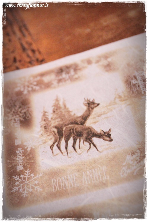 06-www-skreytumhus-is-004