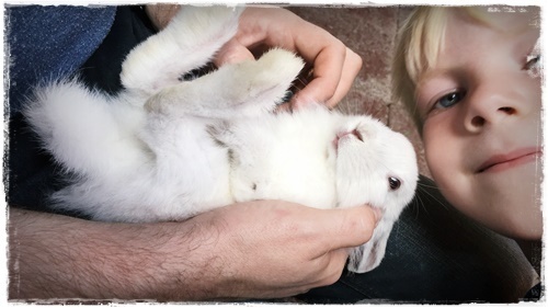 07-www-skreytumhus-is-006