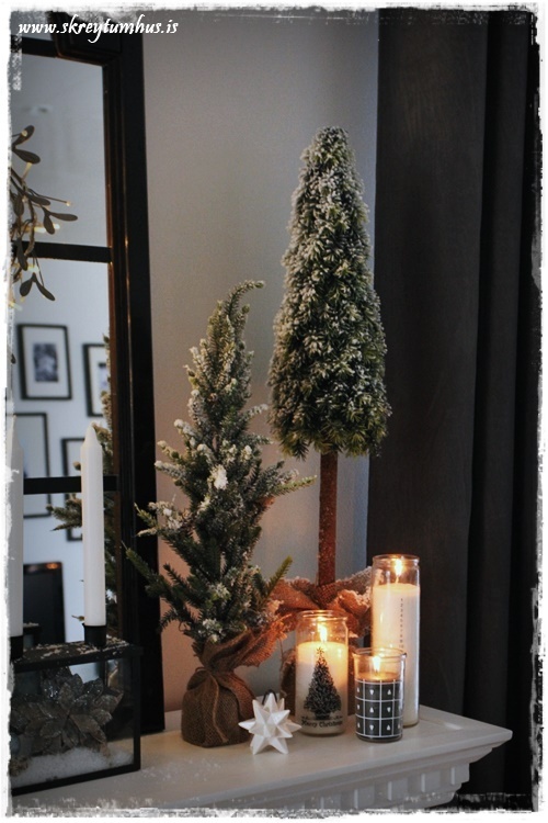 07-www-skreytumhus-is-006