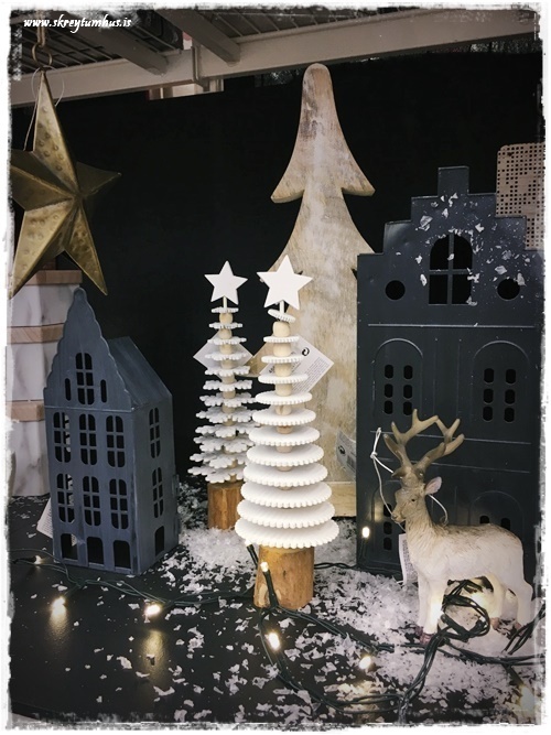 08-www-skreytumhus-is-28