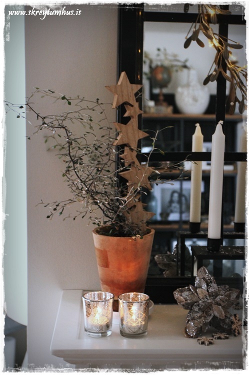 09-www-skreytumhus-is-008