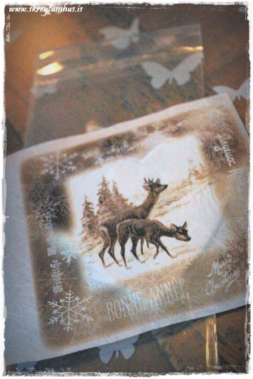 11-www-skreytumhus-is-009