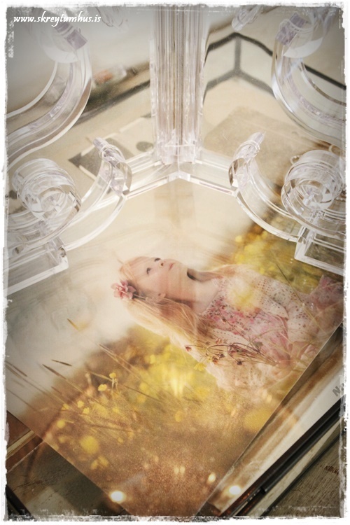 11-www-skreytumhus-is-010