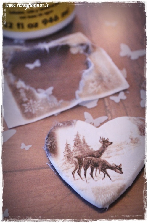 12-www-skreytumhus-is-010