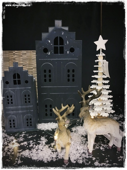 12-www-skreytumhus-is-50