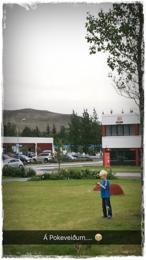 15-www-skreytumhus-is-014