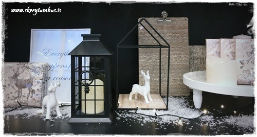 16-www-skreytumhus-is-13-001