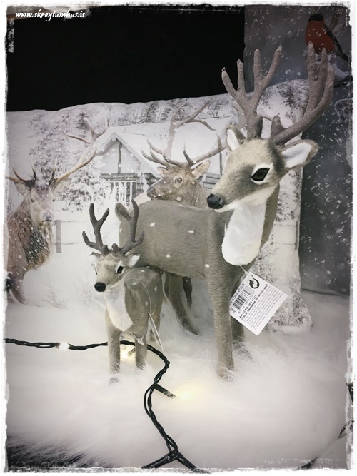 17-www-skreytumhus-is-20-001