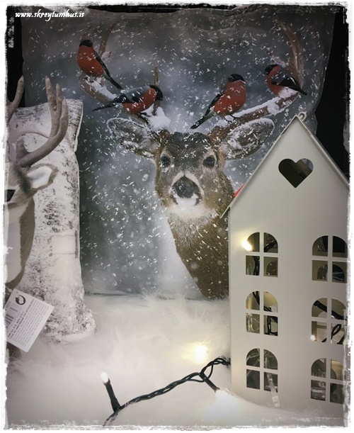 18-www-skreytumhus-is-22