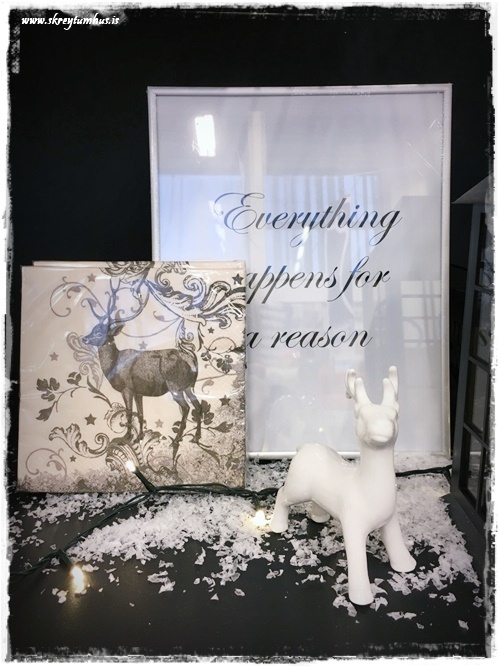 19-www-skreytumhus-is-28-001