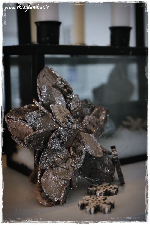 20-www-skreytumhus-is-019