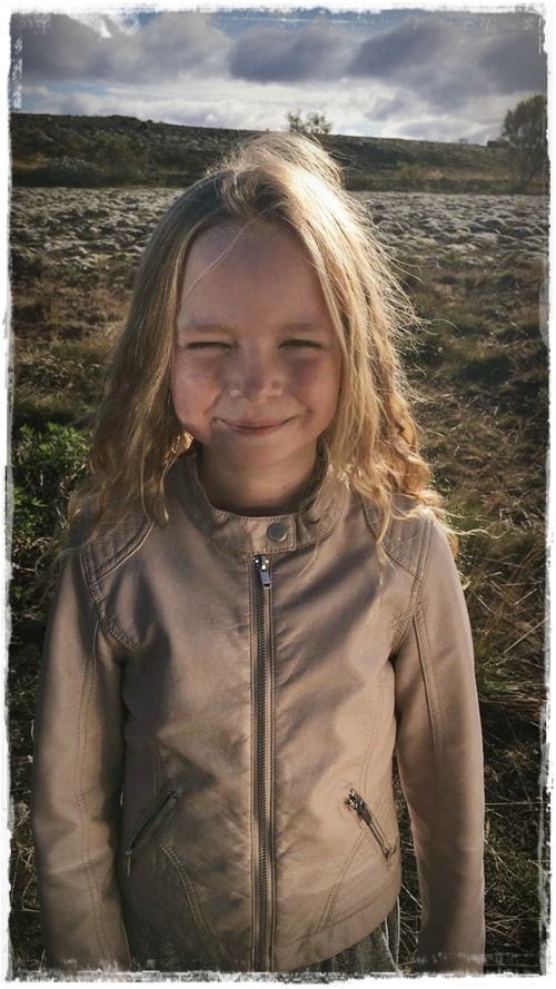 21-www-skreytumhus-is-020