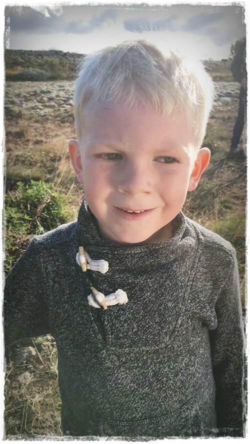 22-www-skreytumhus-is-021