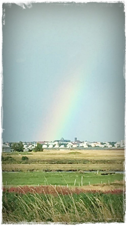 24-www-skreytumhus-is-023