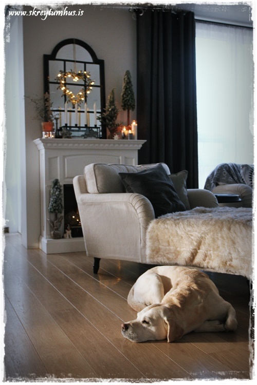 27-www-skreytumhus-is-026