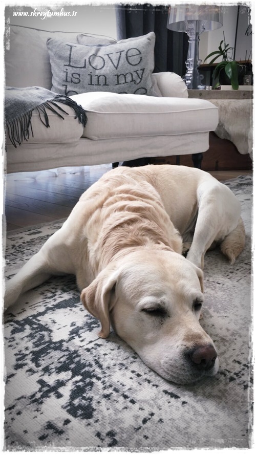 27-www-skreytumhus-is-056