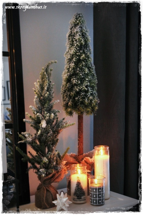 32-www-skreytumhus-is-031