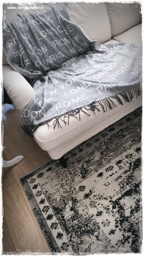 33-www-skreytumhus-is-062