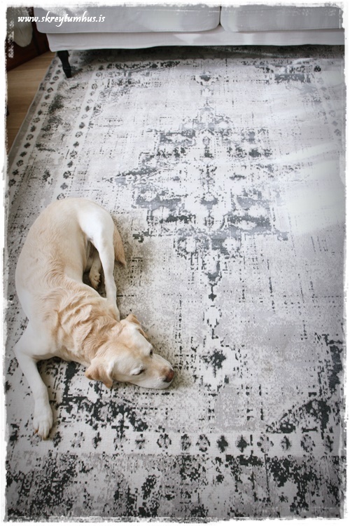 42-www-skreytumhus-is-037