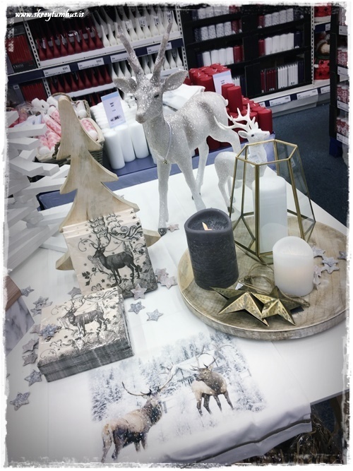 50-www-skreytumhus-is-26-001